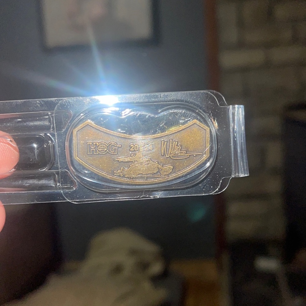 Harley Davidson Pin